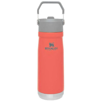 STANLEY IceFlow Stainless Steel Tumbler